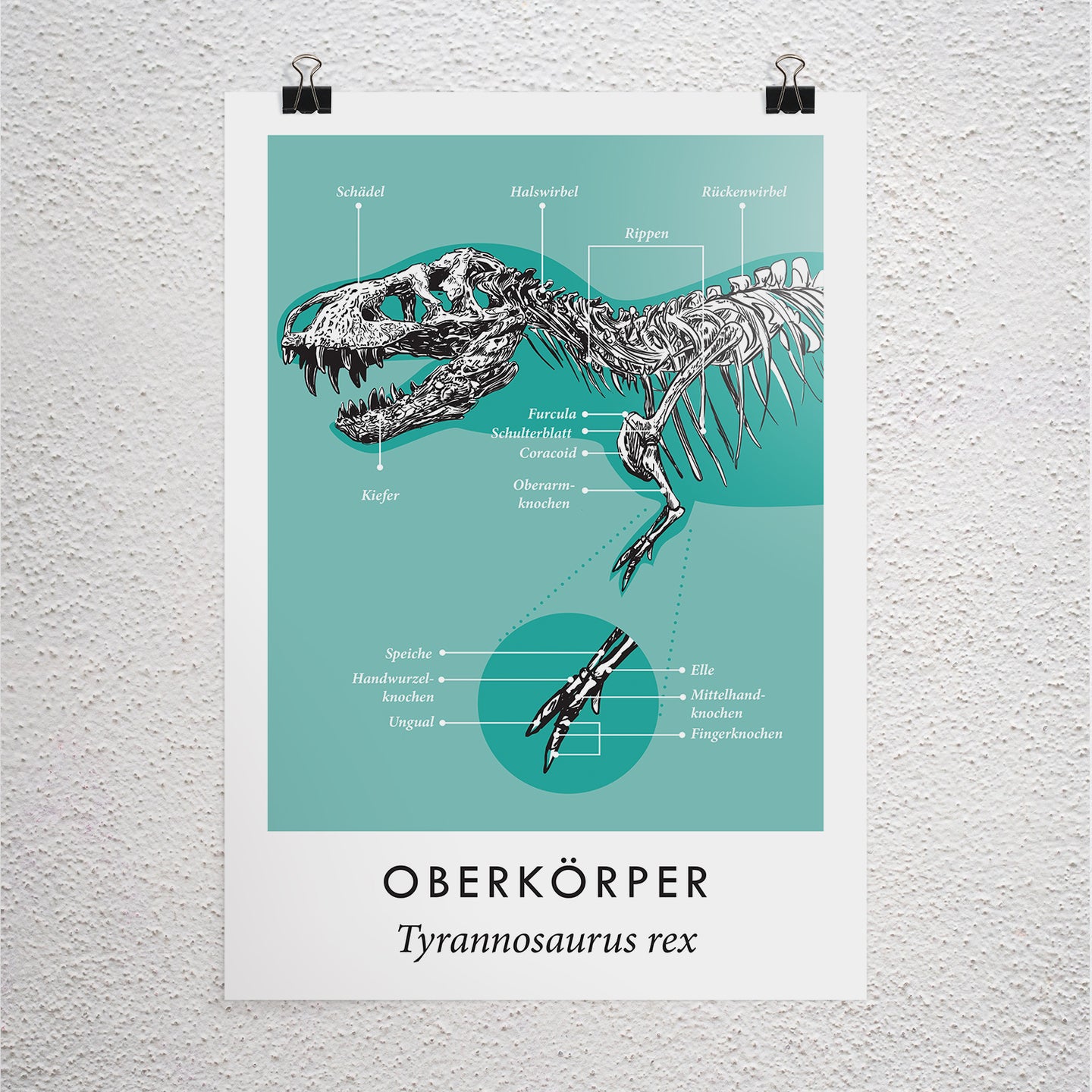 Poster A3 Oberkörper T-Rex