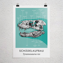 Lade das Bild in den Galerie-Viewer, Poster A3 Schädelaufbau T-Rex
