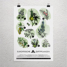 Lade das Bild in den Galerie-Viewer, Poster A3 Europäische Giftpflanzen
