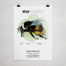 Load image into Gallery viewer, Poster A3 Dunkle Erdhummel
