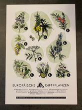 Lade das Bild in den Galerie-Viewer, Poster A3 Europäische Giftpflanzen
